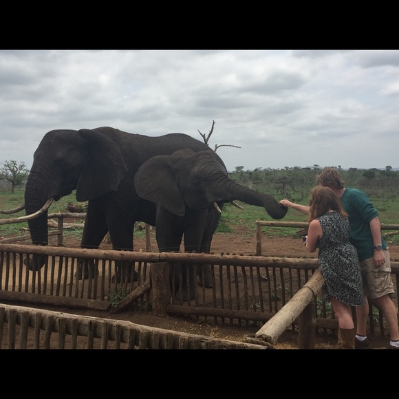 Meet your Posher, Stacey - Picture 1 of 1